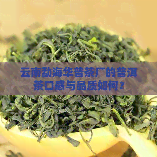 云南勐海华普茶厂的普洱茶口感与品质如何？