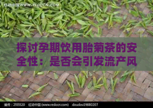 探讨孕期饮用胎菊茶的安全性：是否会引发流产风险？