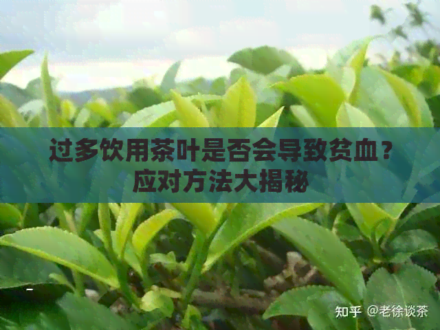 过多饮用茶叶是否会导致贫血？应对方法大揭秘