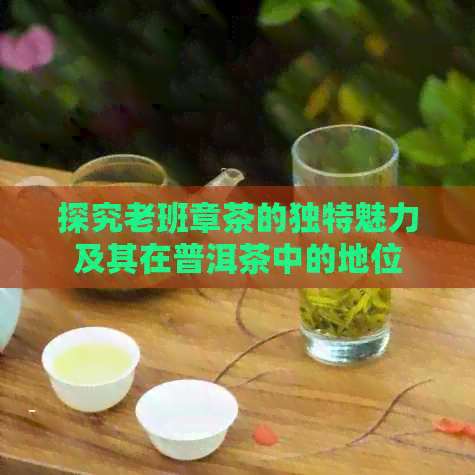 探究老班章茶的独特魅力及其在普洱茶中的地位