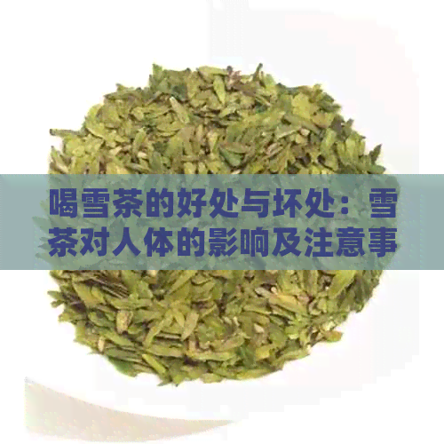 喝雪茶的好处与坏处：雪茶对人体的影响及注意事项