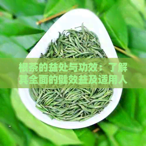 根茶的益处与功效：了解其全面的健效益及适用人群