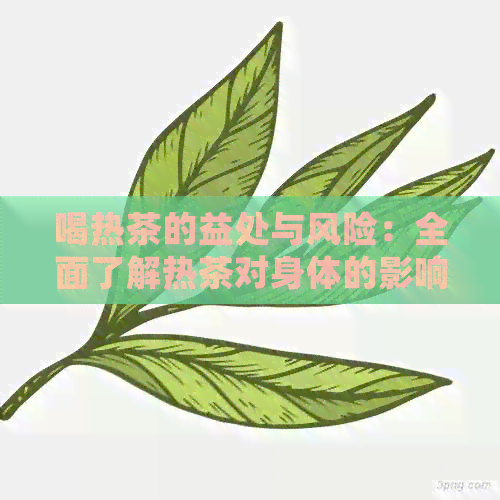 喝热茶的益处与风险：全面了解热茶对身体的影响及如何正确饮用