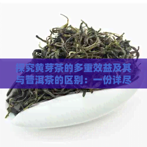 探究黄芽茶的多重效益及其与普洱茶的区别：一份详尽的茶叶功效分析