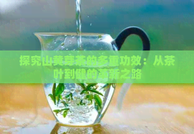 探究山黄芽茶的多重功效：从茶叶到健的革新之路