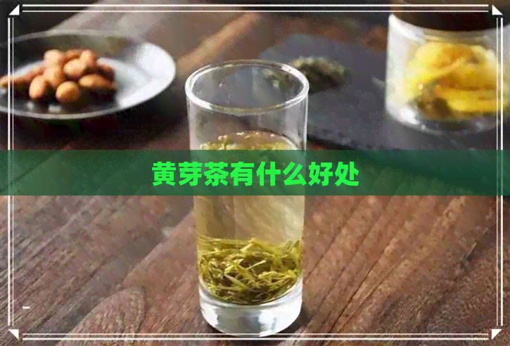 黄芽茶有什么好处