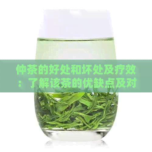 仲茶的好处和坏处及疗效：了解该茶的优缺点及对人体的影响