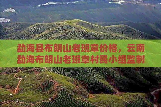 勐海县布朗山老班章价格，云南勐海布朗山老班章村民小组监制的茶真吗？