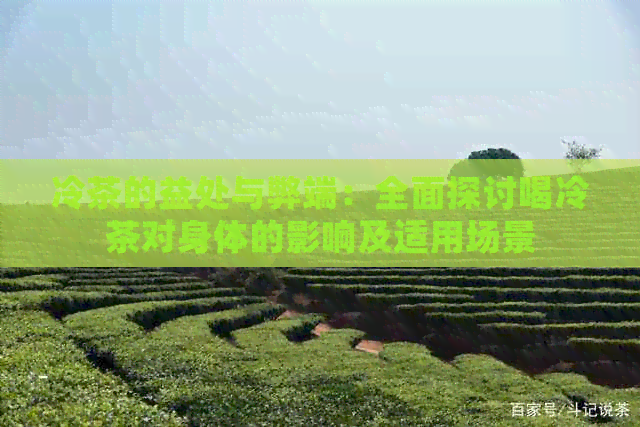 冷茶的益处与弊端：全面探讨喝冷茶对身体的影响及适用场景