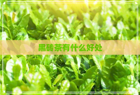 黑砖茶有什么好处