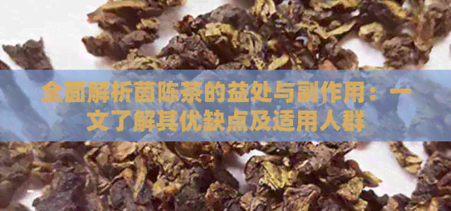 全面解析茵陈茶的益处与副作用：一文了解其优缺点及适用人群