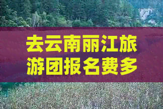 去云南丽江旅游团报名费多少钱啊怎么报：全额报销流程与费用详情