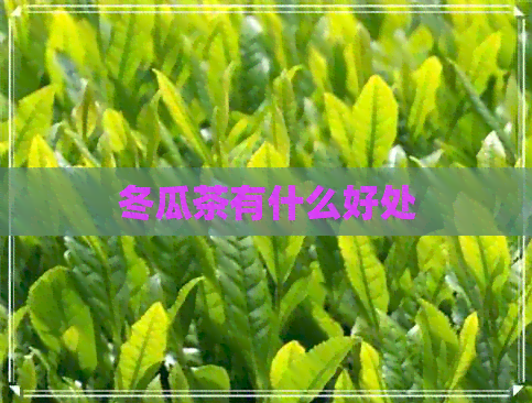 冬瓜茶有什么好处