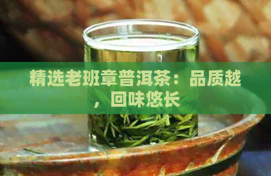 精选老班章普洱茶：品质越，回味悠长