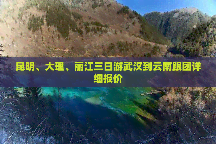 昆明、大理、丽江三日游武汉到云南跟团详细报价