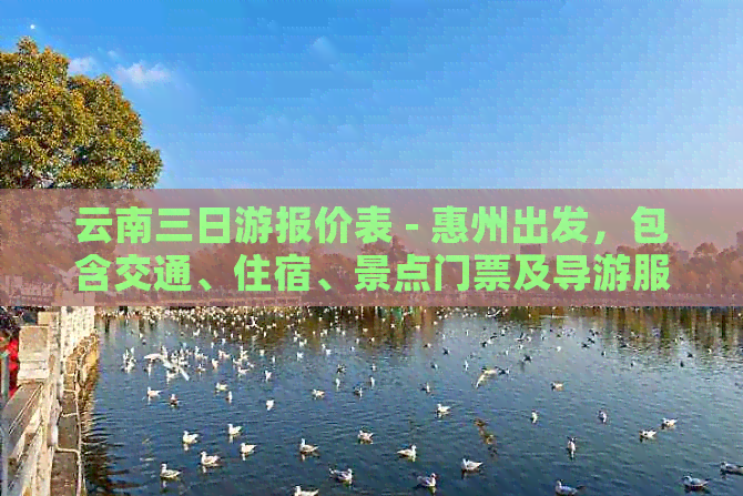 云南三日游报价表 - 惠州出发，包含交通、住宿、景点门票及导游服务