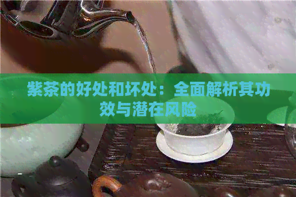 紫茶的好处和坏处：全面解析其功效与潜在风险