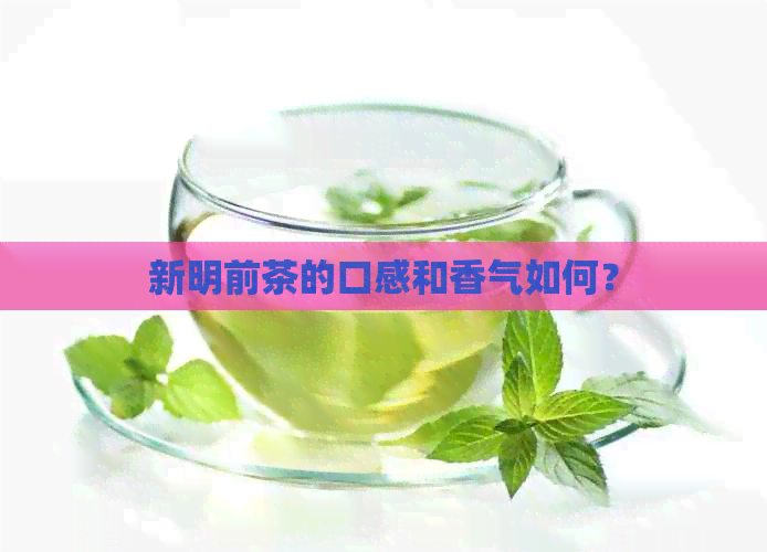 新明前茶的口感和香气如何？