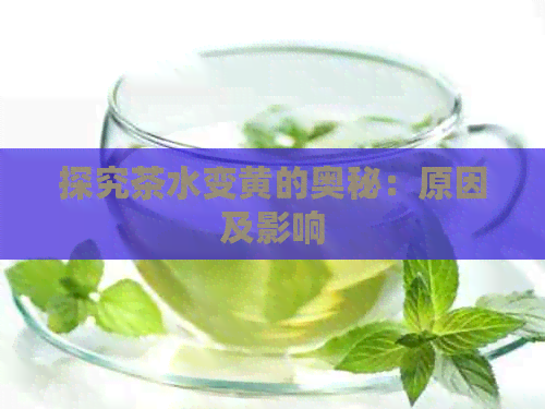 探究茶水变黄的奥秘：原因及影响