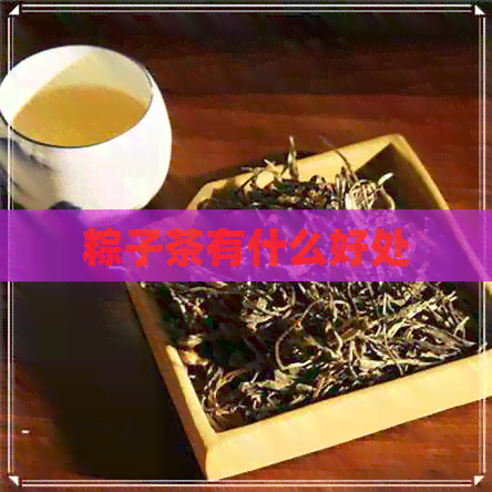 粽子茶有什么好处