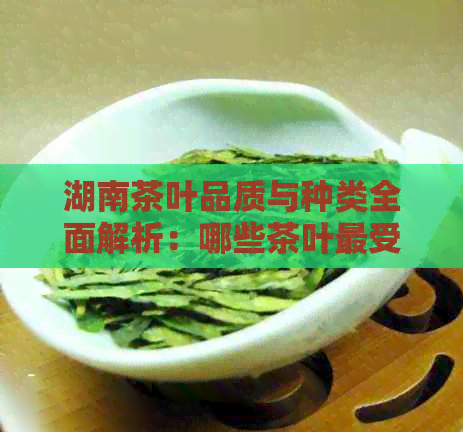 湖南茶叶品质与种类全面解析：哪些茶叶更受欢迎？如何挑选与饮用？