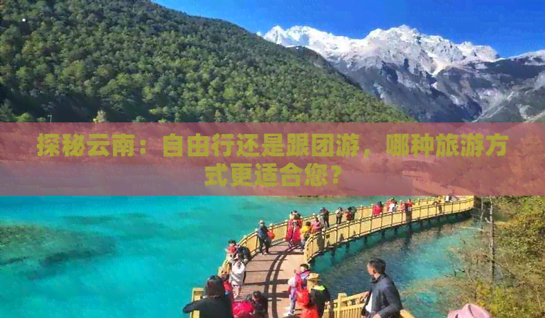 探秘云南：自由行还是跟团游，哪种旅游方式更适合您？