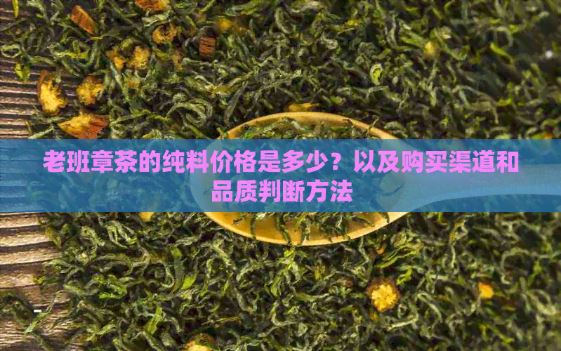 老班章茶的纯料价格是多少？以及购买渠道和品质判断方法