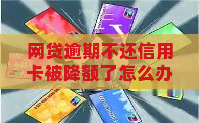 网贷逾期不还信用卡被降额了怎么办