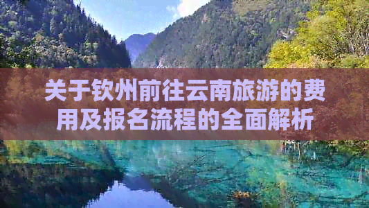 关于钦州前往云南旅游的费用及报名流程的全面解析