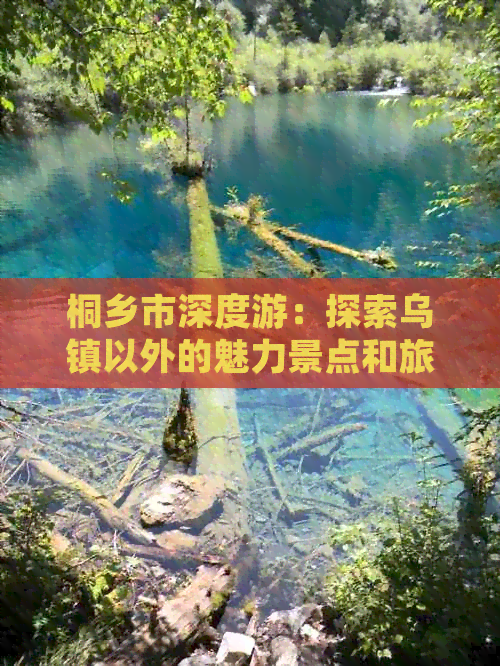 桐乡市深度游：探索乌镇以外的魅力景点和旅行攻略