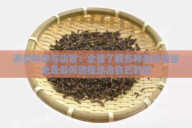 茶的种类与功效：全面了解各种茶的健益处及如何选择适合自己的茶