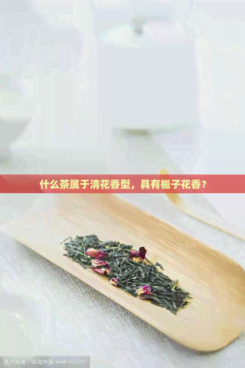 什么茶属于清花香型，具有栀子花香？