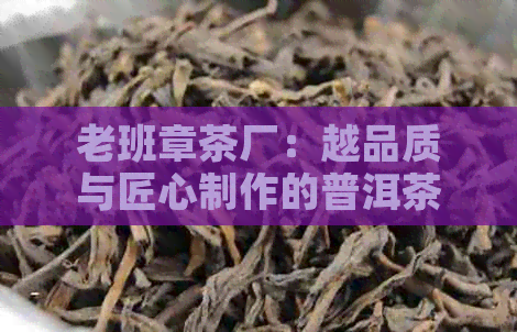 老班章茶厂：越品质与匠心制作的普洱茶排行一览