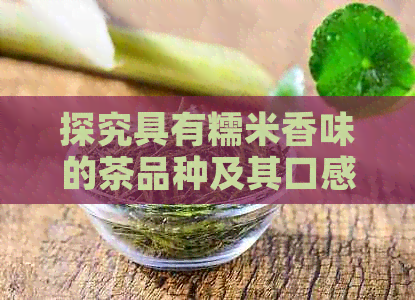 探究具有糯米香味的茶品种及其口感特点