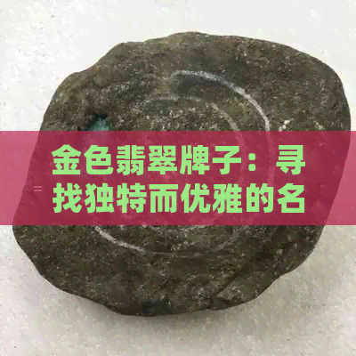 金色翡翠牌子：寻找独特而优雅的名字，满足您的审美需求与价值