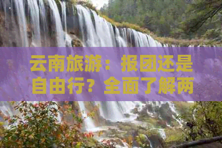 云南旅游：报团还是自由行？全面了解两种旅行方式的优缺点及适用场景