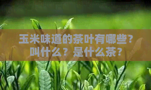 玉米味道的茶叶有哪些？叫什么？是什么茶？