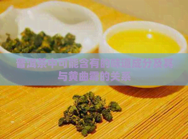 普洱茶中可能含有的味道成分及其与黄曲霉的关系