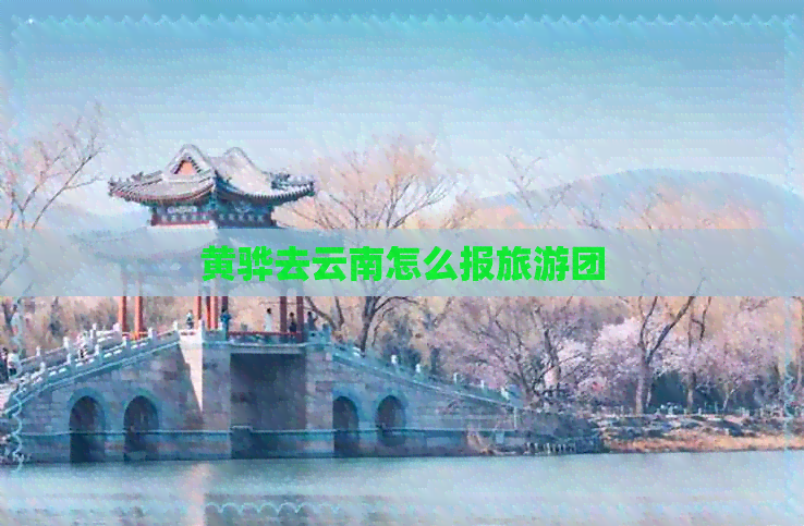 黄骅去云南怎么报旅游团