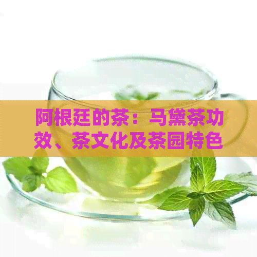 阿根廷的茶：马黛茶功效、茶文化及茶园特色