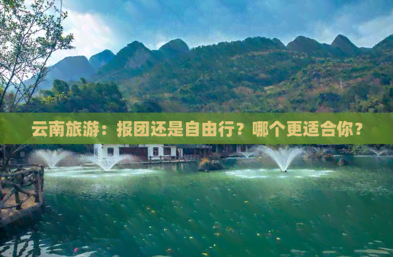 云南旅游：报团还是自由行？哪个更适合你？