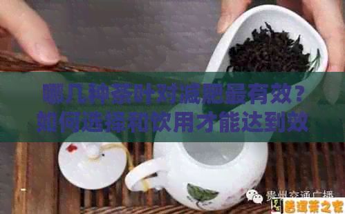 哪几种茶叶对减肥最有效？如何选择和饮用才能达到效果？