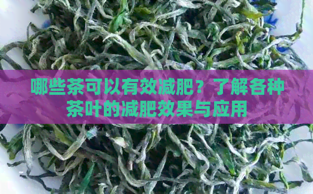 哪些茶可以有效减肥？了解各种茶叶的减肥效果与应用