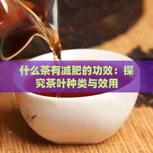 什么茶有减肥的功效：探究茶叶种类与效用