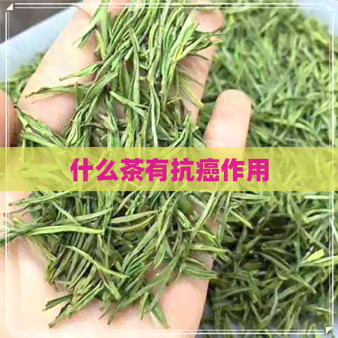 什么茶有抗癌作用