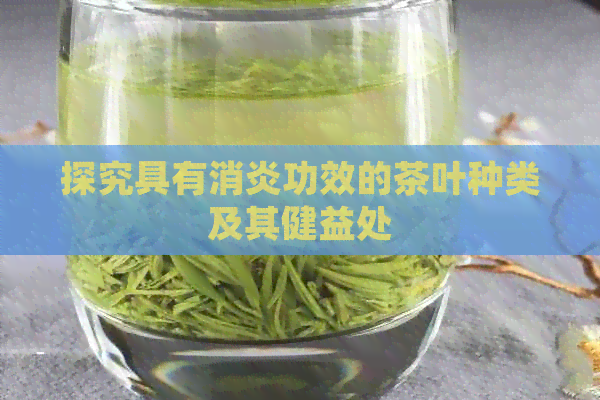 探究具有消炎功效的茶叶种类及其健益处