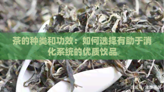 茶的种类和功效：如何选择有助于消化系统的优质饮品