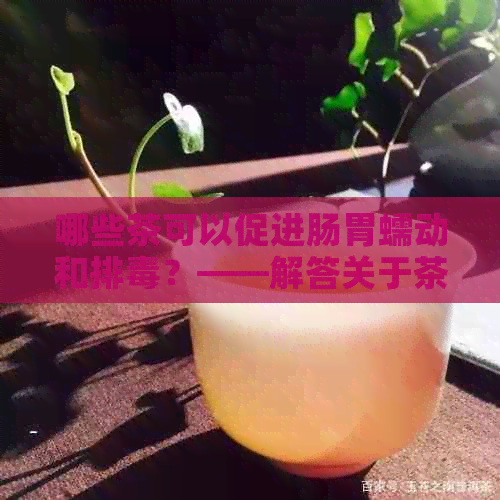 哪些茶可以促进肠胃蠕动和排？——解答关于茶叶与排泄的疑问