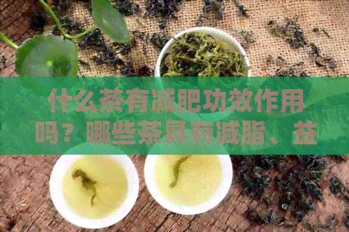 什么茶有减肥功效作用吗？哪些茶具有减脂、益减肥效果，并评估其减肥效果？