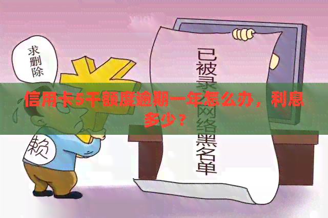 信用卡5千额度逾期一年怎么办，利息多少？